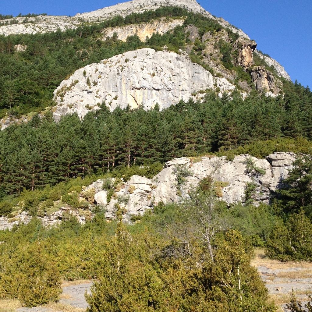 GR11 0050