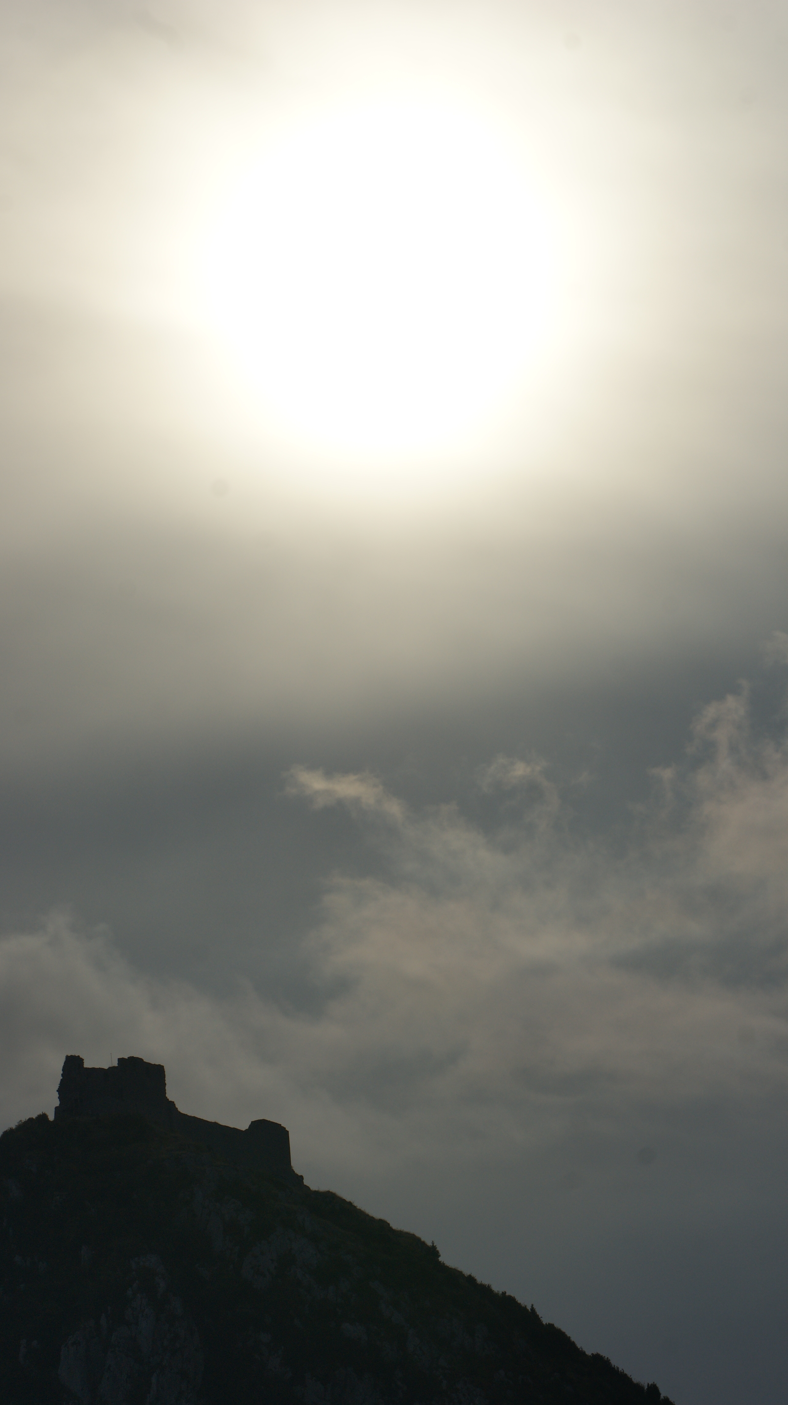 SONY DSC