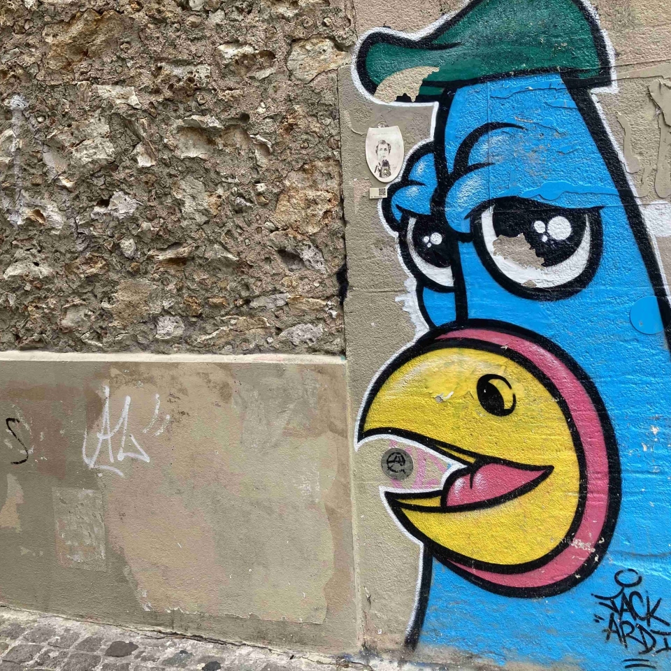 Street Art Paris XIII